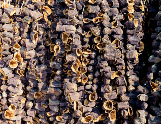 istock Turkish style dried eggplants hanging on a stand 1075931930