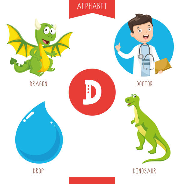 ilustrações de stock, clip art, desenhos animados e ícones de vector illustration of alphabet letter d and pictures - primary care