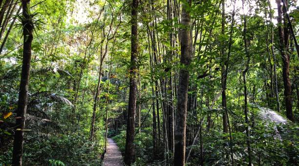 istock Adventure Route In Thee Lor Sue Waterfall Park, Thailand 1075943908