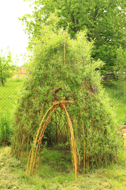 istock willow door to small children house 1075948200