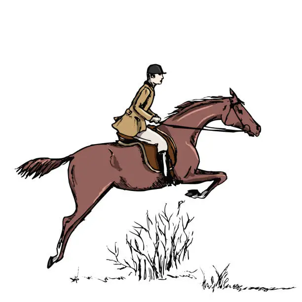 Vector illustration of Equestrian sport fox hunting with jumping horse man rider english style on landscape.