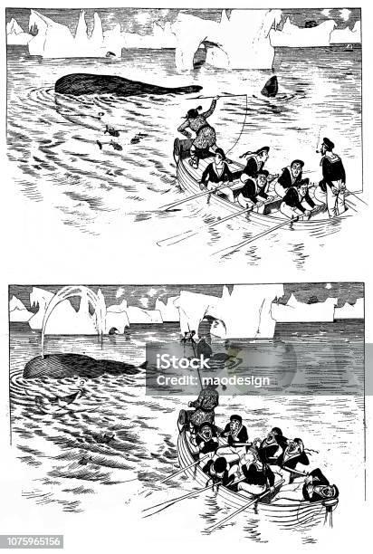 Cheerful Story From Whale Hunting Stock Illustration - Download Image Now - Sailor, 1896, 19th Century