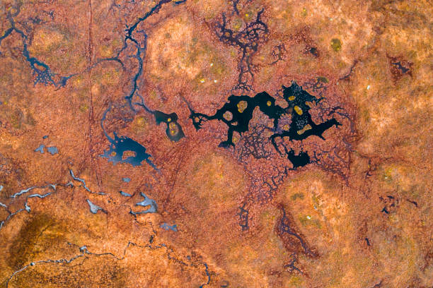 istock A river landscape in Scotland seen from directly above 1075965732