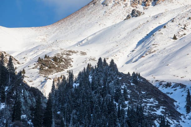 istock mountain snow slope in the alps 1075968160