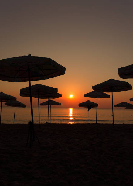 istock Beautiful sunrise with umbrella silhouettes 1075970626