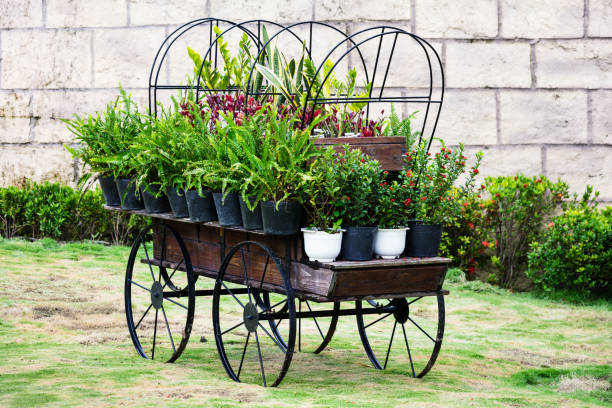 wooden wheel of cart on brick road