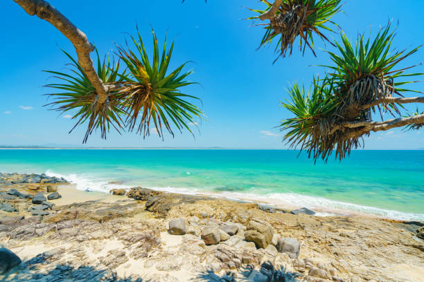 Noosa National Park on a clear day with blue water Noosa on Queensland's Sunshine Coast is a popular tourist destination for holiday makers and day-trippers - Tea Tree Bay and The National Park Walk along with Granite Bay are also very popular to locals and tourists sunshine coast australia stock pictures, royalty-free photos & images