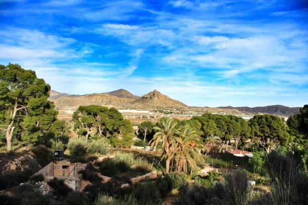 istock Landscape of Novelda 1075981646