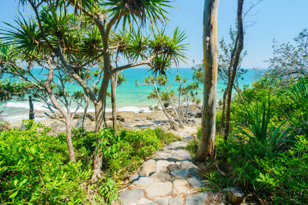 noosa national park an einem klaren tag mit blauem wasser - coastline noosa heads australia landscape stock-fotos und bilder