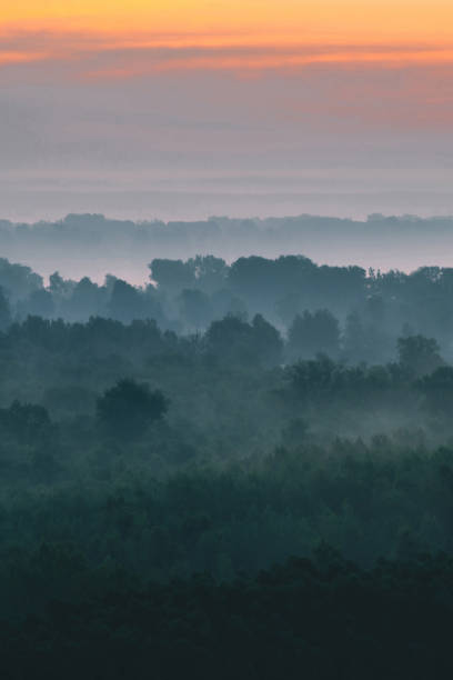 istock Mystical view from top on forest under haze at early morning. Mist among layers from tree silhouettes in taiga under warm predawn sky. Morning atmospheric minimalistic landscape of majestic nature. 1075991062