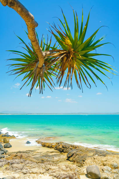 istock Noosa National Park on a clear day with blue water 1075993494