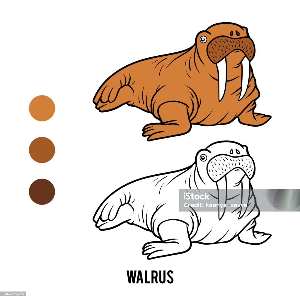 Coloring book, Walrus Coloring book for children, cartoon animal Walrus Seal - Animal stock vector