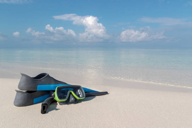 istock scuba goggles and flippers on a white beach. Clear blue water as background 1075997976