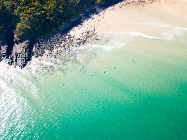 eine luftaufnahme von noosa an einem klaren tag mit blauem wasser - coastline noosa heads australia landscape stock-fotos und bilder