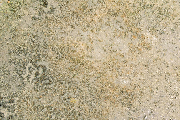 istock vintage wall cement old texture damage floor concrete for background 1076018060
