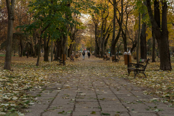istock Alley covered with leaves 1076024866