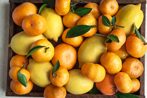 Various citrus fruits - lemons, tangerines, oranges with leaves. Fresh organic citrus fruits as background, close up.