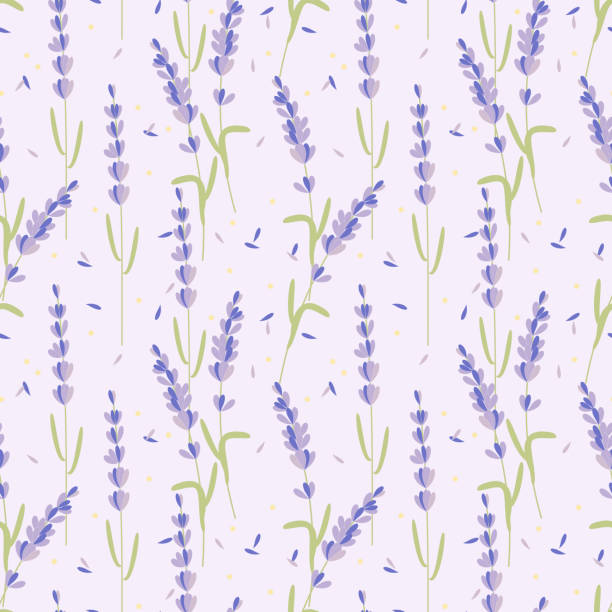 ilustraciones, imágenes clip art, dibujos animados e iconos de stock de lavanda de patrones sin fisuras. - lilac bush nature flower bed