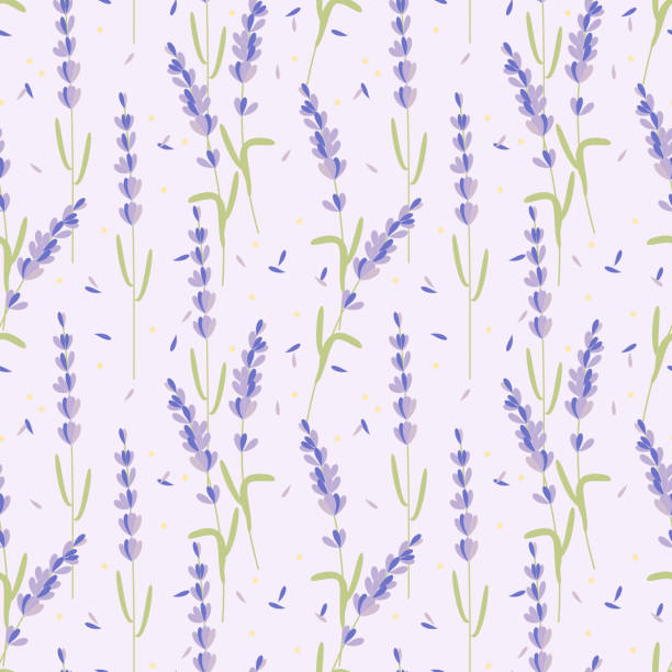 ilustrações, clipart, desenhos animados e ícones de lavanda padrão sem emenda. - lilac bush nature flower bed