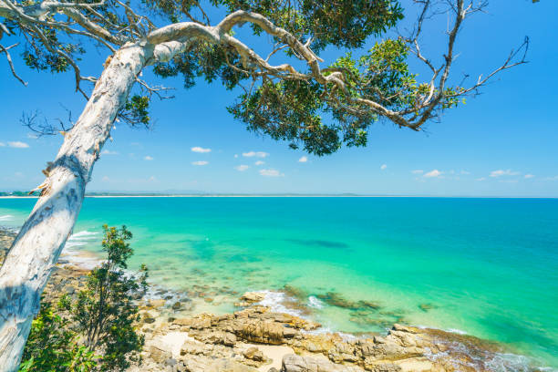 noosa national park an einem klaren tag mit blauem wasser - coastline noosa heads australia landscape stock-fotos und bilder