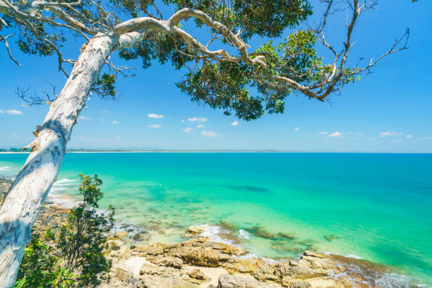 parco nazionale di noosa in una giornata limpida con acqua blu - coastline noosa heads australia landscape foto e immagini stock