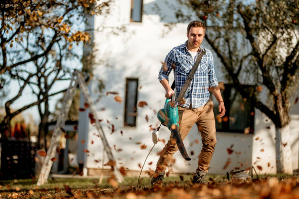 istock Landscaping details, worker using leaf blower and cleaning up the garden 1076044146