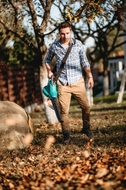 istock Landscaping and gardening details with worker using leaf blower 1076044182