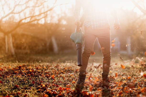 istock Portrait of male worker, gardener blowing leaves using modern tools 1076044184