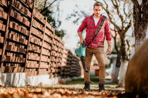 istock Portrait of handsome gardener using garden blower and vacuum 1076044366