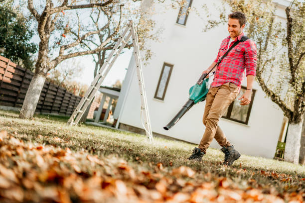 istock Professional gardener using leaf blower and working in garden 1076044474