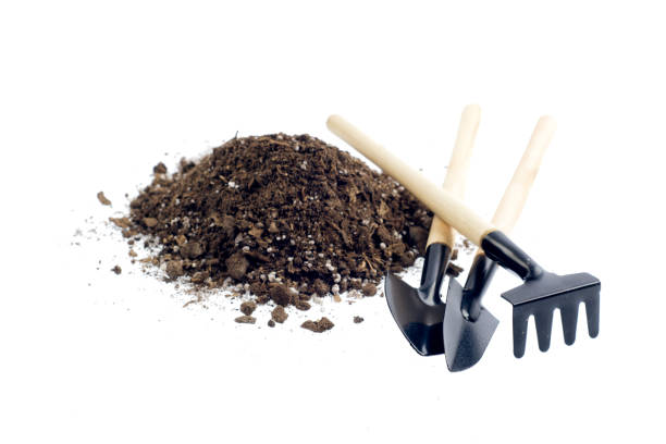 istock Soil or dirt section isolated on white background 1076046548
