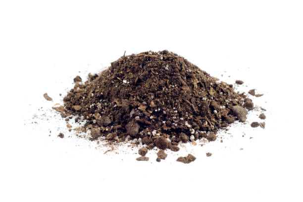 istock Soil or dirt section isolated on white background 1076048844