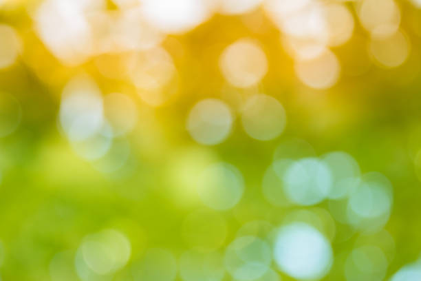 istock Natural green bokeh with yellow light abstract background 1076057506