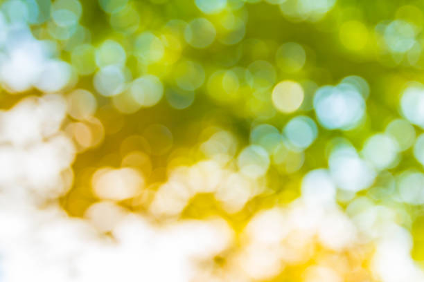 istock Natural green bokeh with yellow light abstract background 1076057518