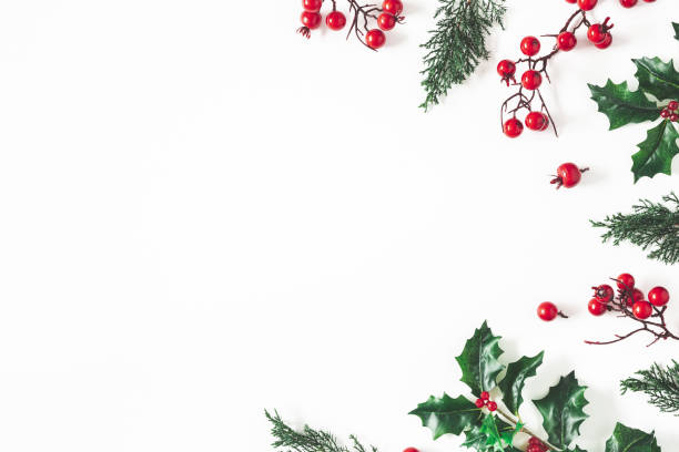 istock Christmas composition. Frame made of christmas plants on white background. Flat lay, top view, copy space 1076058000