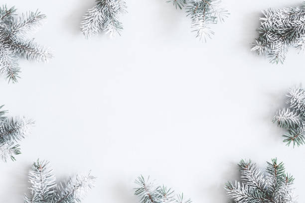 istock Christmas composition. Frame made of fir tree branches on pastel gray background. Christmas, winter, new year concept. Flat lay, top view, copy space 1076060698