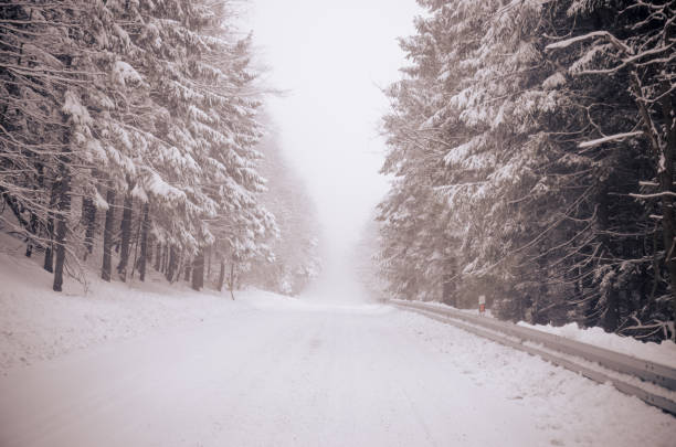 istock foggy winter road through forest 1076062422