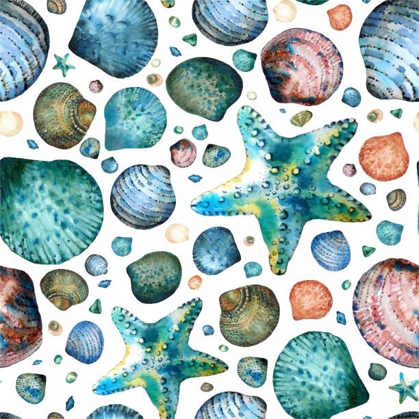 ilustrações, clipart, desenhos animados e ícones de sem costura padrão vector pintado em aquarela com conchas e estrelas do mar, sobre um fundo branco. - estrela do mar