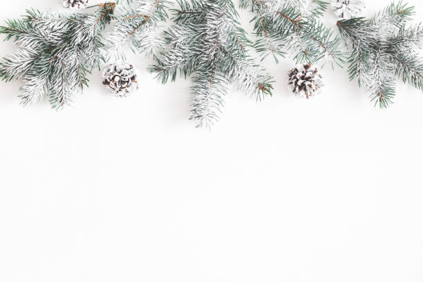 Christmas composition. Border made of fir tree branches, pine cones on white background. Christmas, winter, new year concept. Flat lay, top view, copy space