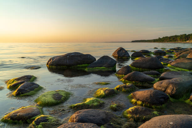 istock large granite rock single in nature 1076065286