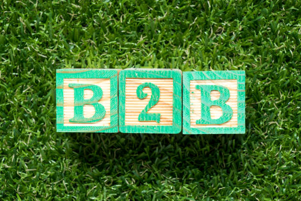 istock Color wood block in word B2B (business to business) on artificial green grass background 1076066836