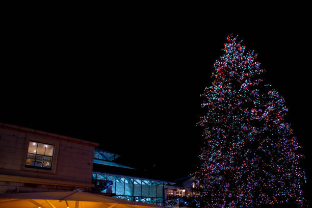 istock Christmas Tree in Covent Garden market 1076074546