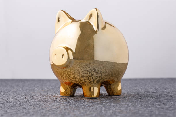 Pig money box golden on black background concept of financial insurance, protection, safe investment or banking. stock photo