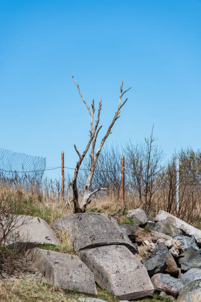 istock large granite rock single in nature 1076077842
