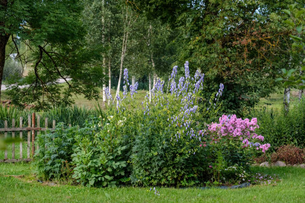 istock countryside garden flowers on blur background 1076081086