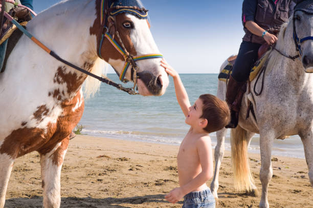 Child play on the beach stock photo