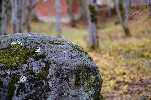 istock large granite rock single in nature 1076086780