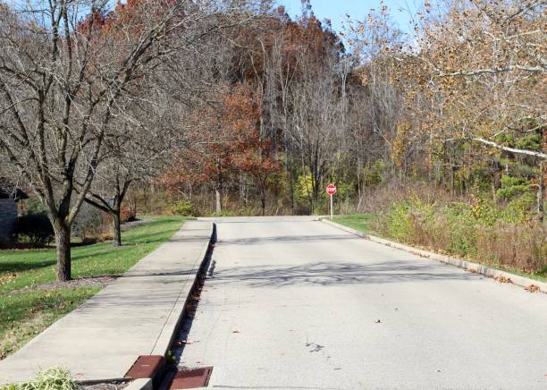 istock Road in Autumn Landscape 1076091842