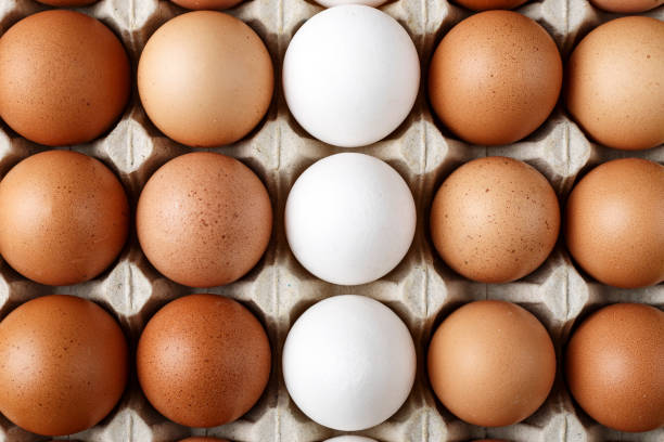 istock chicken eggs in a paper tray. close-up. 1076092178