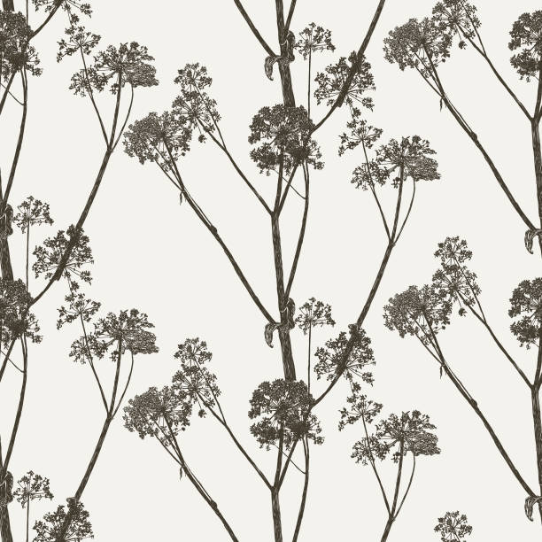 Cow Parsley Seamless Repeat Pattern Vector seamless repeat. All colors are layered and grouped separately.
Icons are available in more detail and in stroke form from my iStock folio. Easily editable. cow parsley stock illustrations